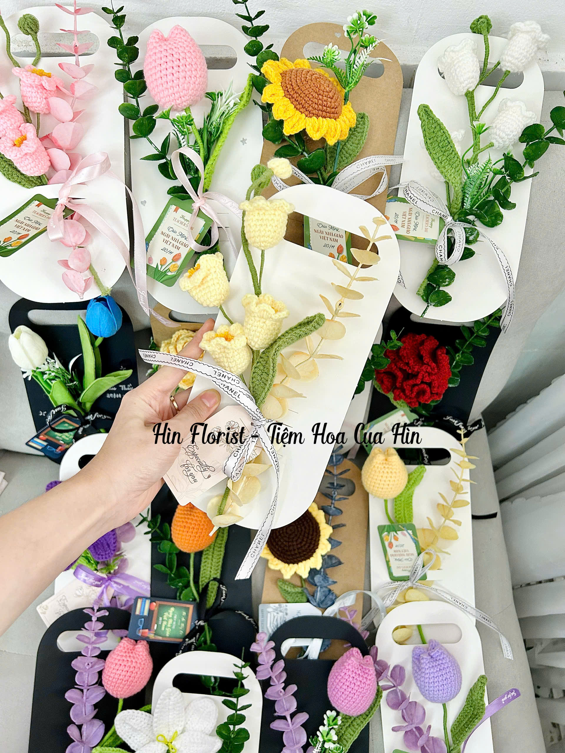 hoa moc len, hoa dan len re dep tai sai gon hoa moc len, hoa dan len re dep tai sai gon