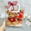 set quà hoa sáp gấu áo đỏ